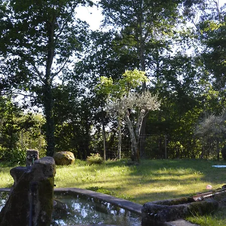 Casa Do Arte - Peaceful Retreat With A Pool Near Guimaraes