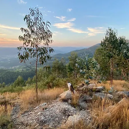 Casa Do Arte - Peaceful Retreat With A Pool Near Guimaraes Сasa de vacaciones Sao Torcato (Braga)