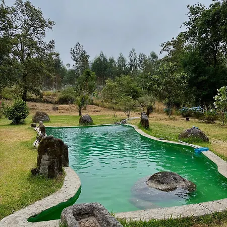 Casa Do Arte - Peaceful Retreat With A Pool Near Guimaraes *