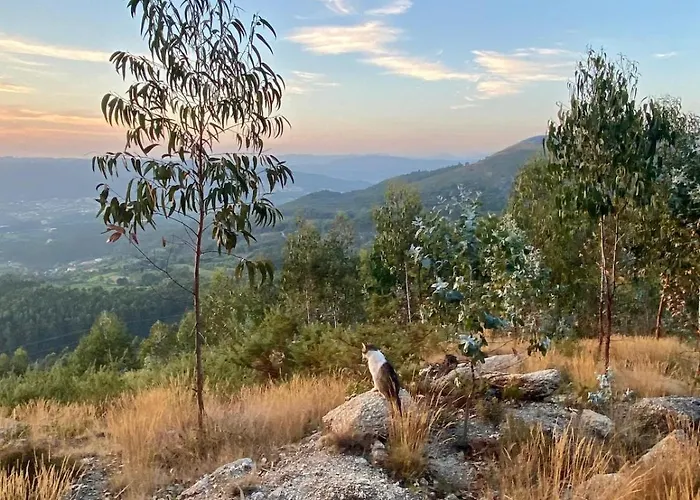 Casa Do Arte - Peaceful Retreat With A Pool Near Guimaraes 펜션 Sao Torcato (Braga)